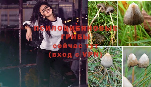 apvp Нея