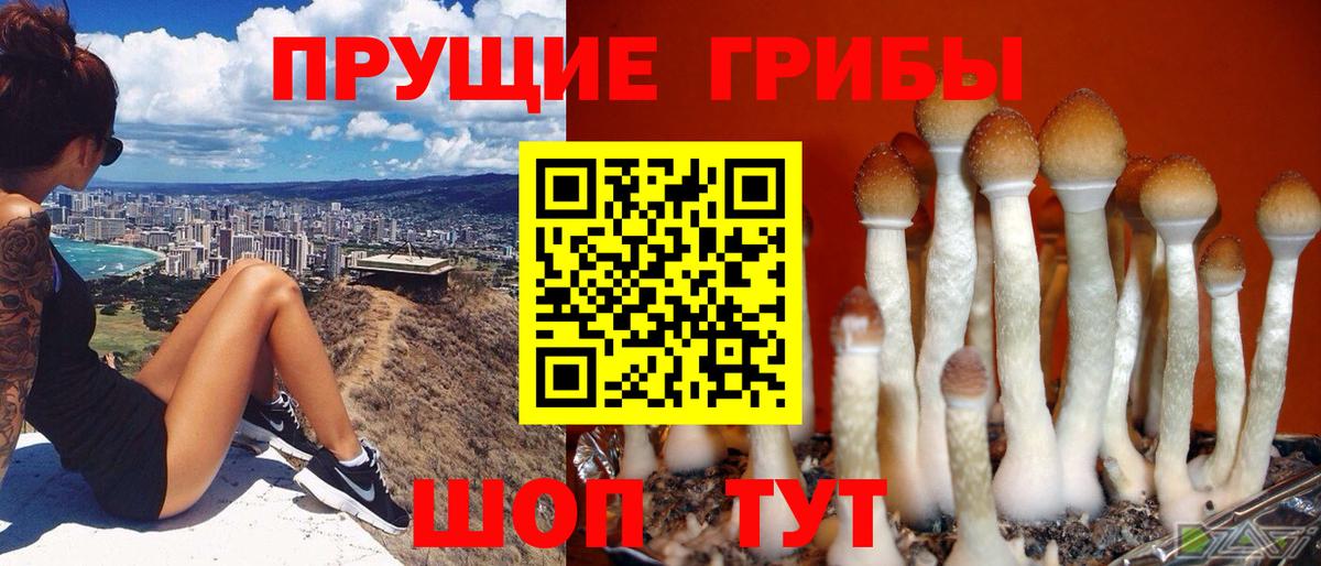 Галлюциногенные грибы ЛСД  Галлюциногенные грибы GOLDEN TEACHER  Ивантеевка 