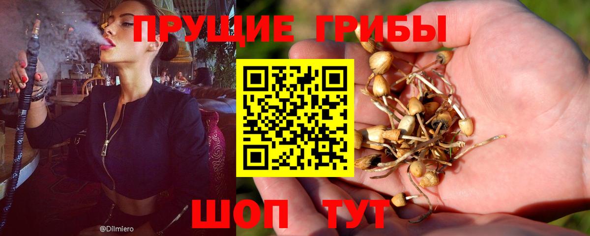 Галлюциногенные грибы MAGIC MUSHROOMS Ивантеевка